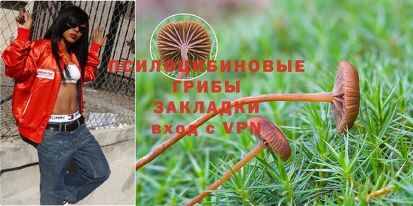 индика Пересвет