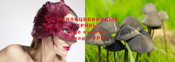 прущие крисы Баксан