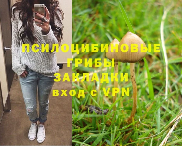 прущие крисы Баксан