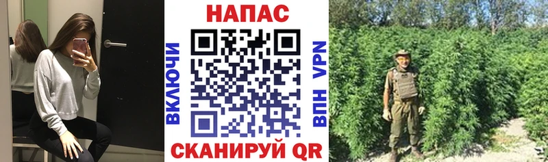 маркетплейс наркотические препараты  хочу наркоту  Назарово  МАРИХУАНА семена 